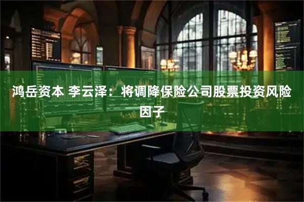 鸿岳资本 李云泽：将调降保险公司股票投资风险因子