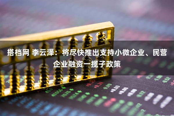 搭档网 李云泽：将尽快推出支持小微企业、民营企业融资一揽子政策