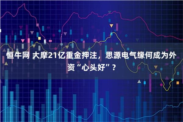 恒牛网 大摩21亿重金押注，思源电气缘何成为外资“心头好”？