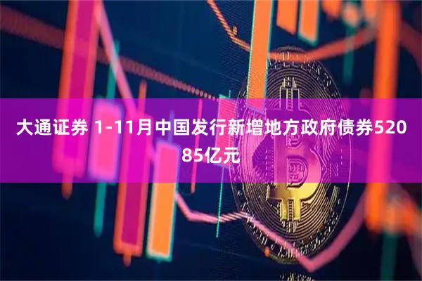 大通证券 1-11月中国发行新增地方政府债券52085亿元