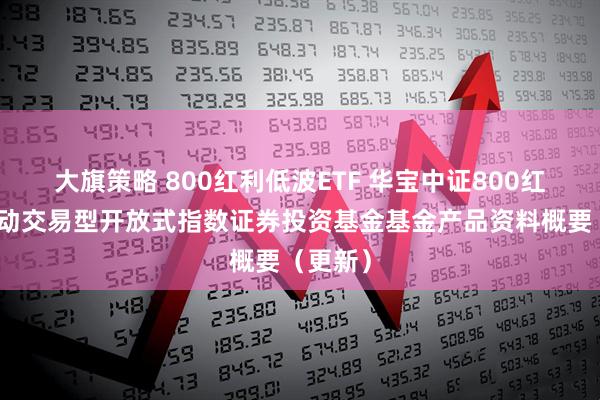 大旗策略 800红利低波ETF 华宝中证800红利低波动交易型开放式指数证券投资基金基金产品资料概要（更新）