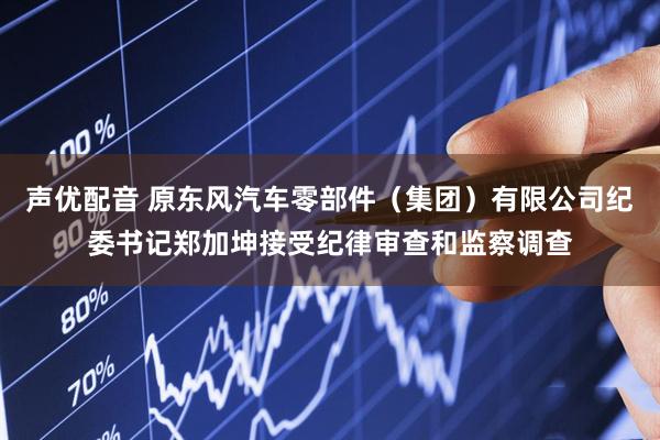 声优配音 原东风汽车零部件（集团）有限公司纪委书记郑加坤接受纪律审查和监察调查