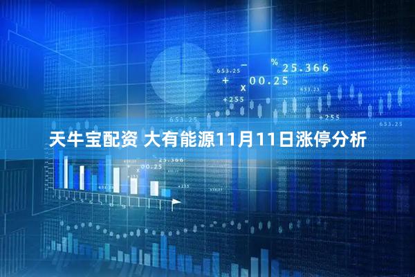 天牛宝配资 大有能源11月11日涨停分析