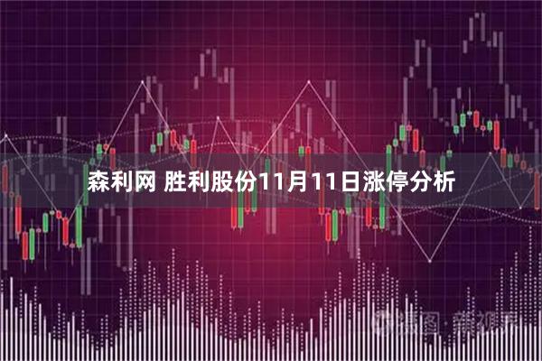 森利网 胜利股份11月11日涨停分析