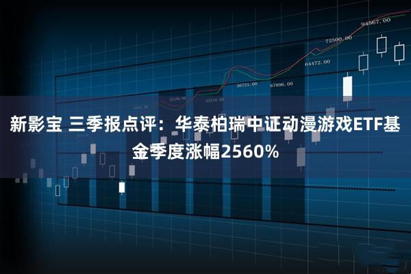 新影宝 三季报点评：华泰柏瑞中证动漫游戏ETF基金季度涨幅2560%